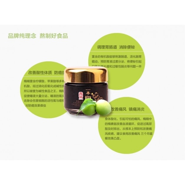 Buy Green Plum Enzyme 一本梅精 (液体） Gano Well