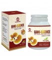 Gano-Essence Shell Cracked Spore Powder Capsule