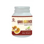 Ganoderma Lucidum Spore Extract Capsule