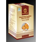 Ganoderma Lucidum Spore Oil Softgel